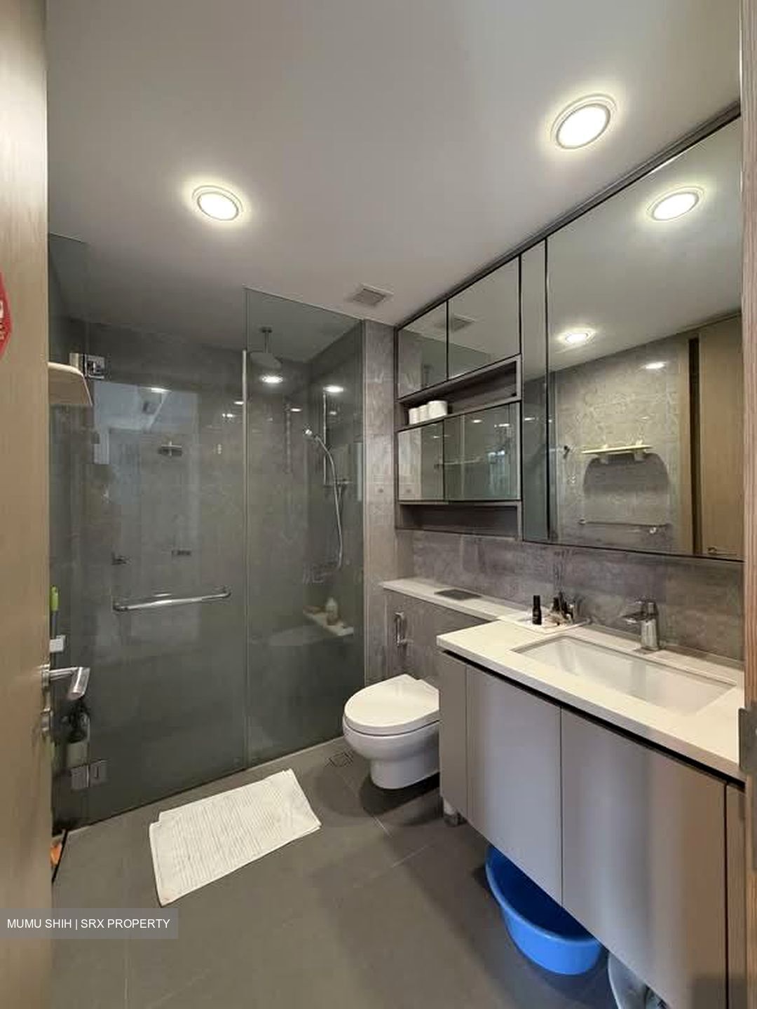 The Tapestry (D18), Condominium #538855511